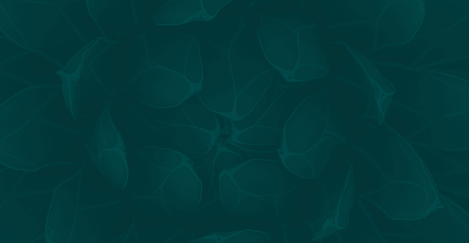 Vernova Image